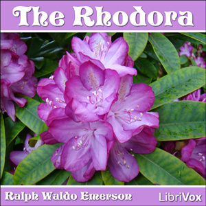 Rhodora