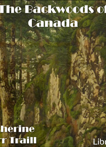 Backwoods of Canada