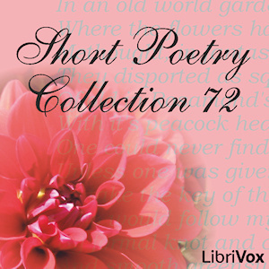 Short Poetry Collection 072