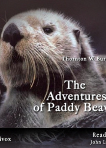 Adventures of Paddy Beaver
