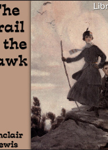 Trail of the Hawk: a Comedy of the Seriousness of Life