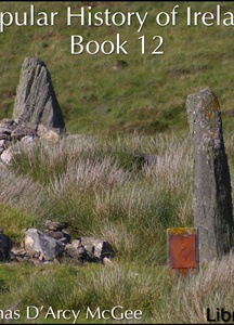 Popular History of Ireland, Book 12