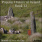 Popular History of Ireland, Book 12