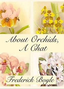 About Orchids, a Chat