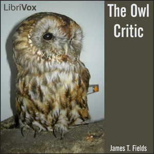 Owl Critic