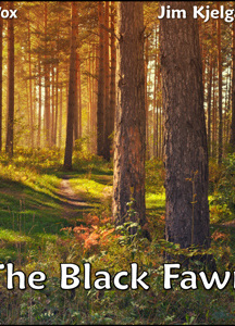 Black Fawn