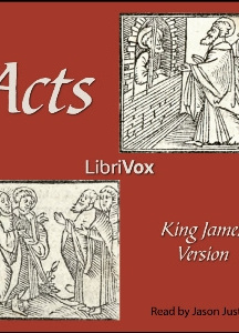 Bible (KJV) NT 05: Acts (version 2)