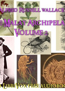 Malay Archipelago, Vol. 2