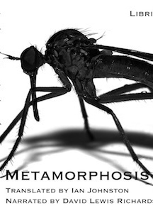 Metamorphosis (version 2)