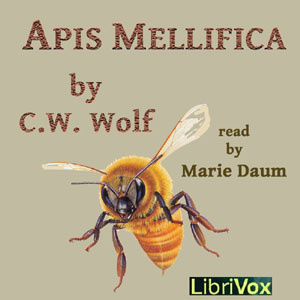 Apis Mellifica