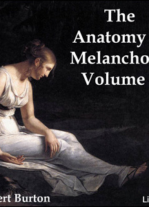 Anatomy of Melancholy Volume 3