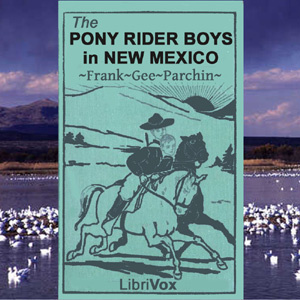 Pony Rider Boys in New Mexico