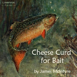 Cheese Curd for Bait