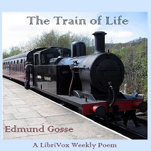 Train of Life