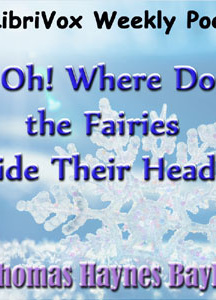 Oh! Where do the Fairies Hide Their Heads