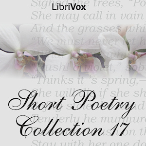 Short Poetry Collection 017