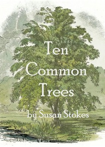 Ten Common Trees
