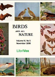 Birds and All Nature, Vol. IV, No 5, November 1898