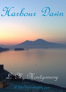Harbour Dawn