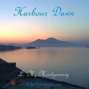 Harbour Dawn