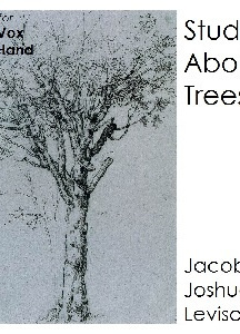 Studies About Trees
