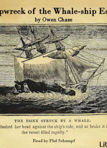 Shipwreck of the Whale-ship Essex