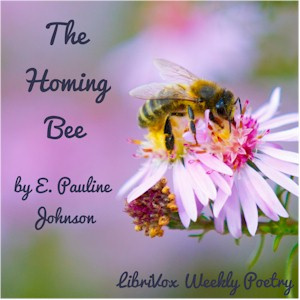 Homing Bee