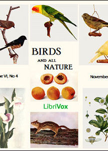 Birds and All Nature, Vol. VI, No 4, November 1899