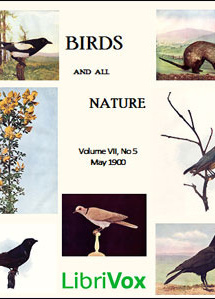 Birds and All Nature, Vol. VII, No 5, May 1900