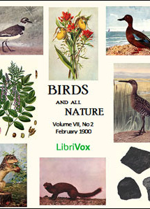 Birds and All Nature, Vol. VII, No 2, February 1900