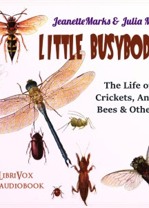 Little Busybodies: The Life of Crickets, Ants, Bees, and Others