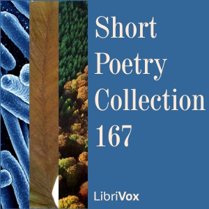 Short Poetry Collection 167