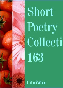Short Poetry Collection 163