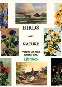 Birds and Nature, Vol. VIII, No 3, October 1900