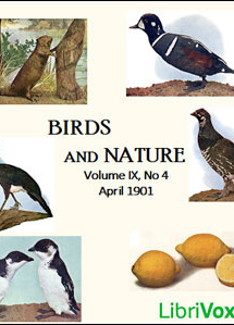 Birds and Nature, Vol. IX, No 4, April 1901