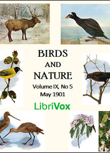 Birds and Nature, Vol. IX, No 5, May 1901