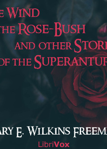 Wind in the Rose-Bush, and Other Stories of the Supernatural