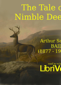 Tale of Nimble Deer