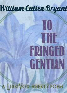 To The Fringed Gentian