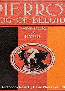 Pierrot, Dog Of Belgium