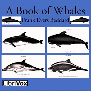 Book of Whales