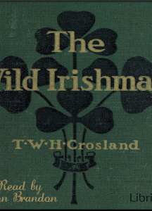Wild Irishman