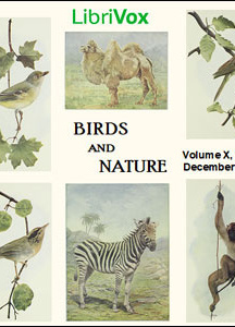 Birds and Nature, Vol. X, No 5, December 1901