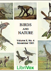 Birds and Nature, Vol. X, No 4, November 1901