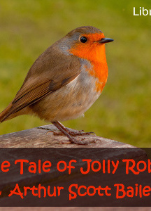 Tale of Jolly Robin