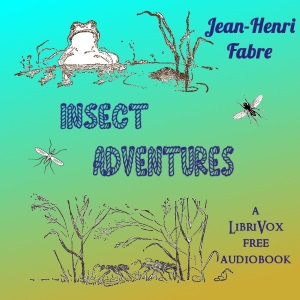 Insect Adventures
