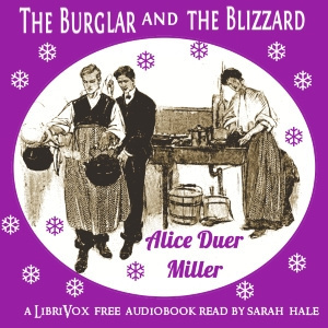 Burglar and the Blizzard