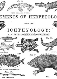 Elements of Herpetology and Ichthyology